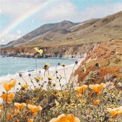 pg棋牌软件平台手机app下载