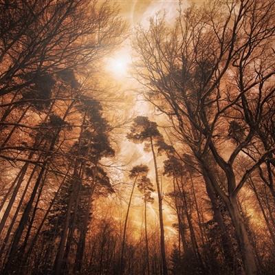 美高梅网址下载手机版截图