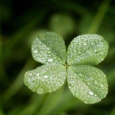 香港资料大全手机app下载