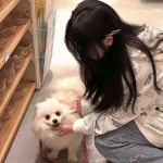 yabo官网网页版下载手机版